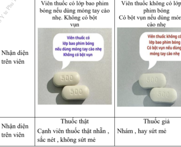 Ảnh màn hình 2024 08 19 lúc 21.05.42 medlink